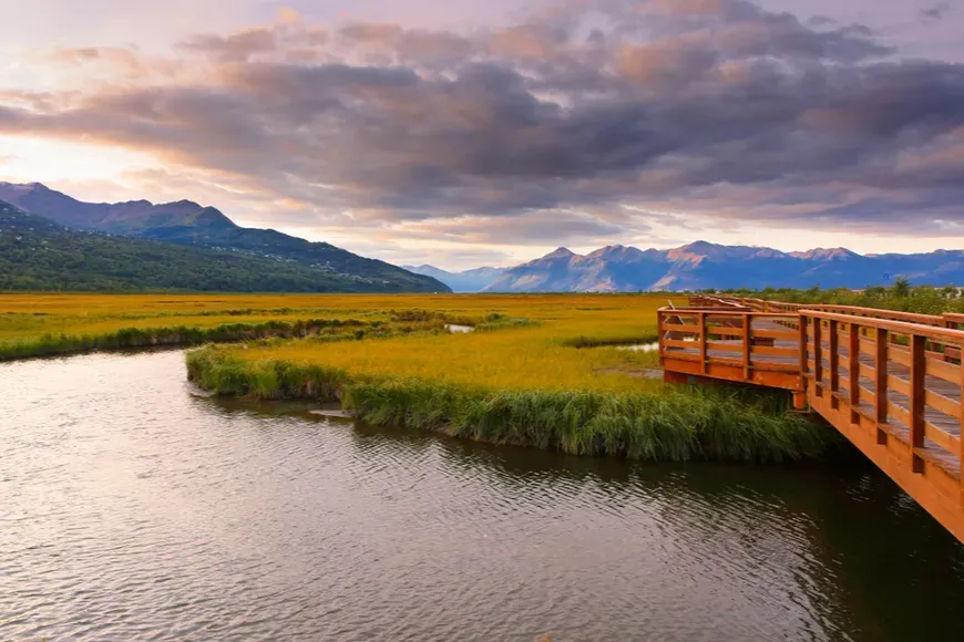Potter marsh wildlife viewing boardwalk anchorage.